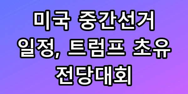 미국 중간선거 일정