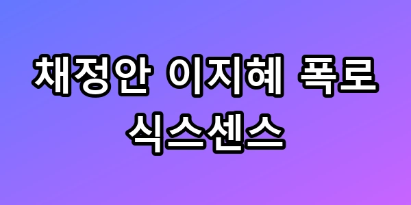 채정안 이지혜 폭로